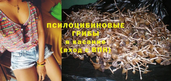 каннабис Инта