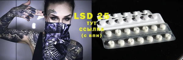 дмт Инсар