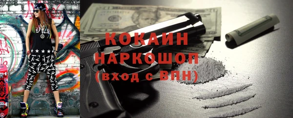 дмт Инсар