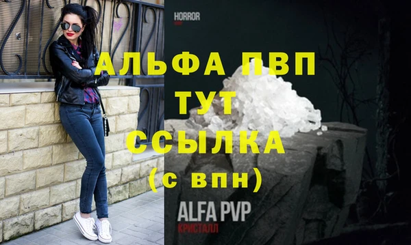 дмт Инсар