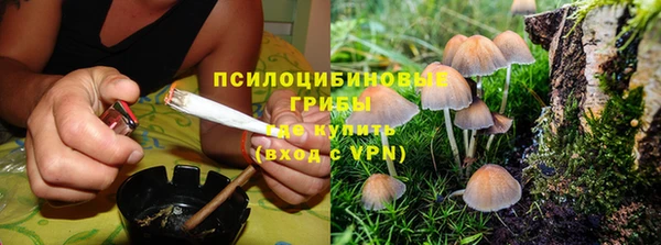 мяу мяу кристалл Иннополис