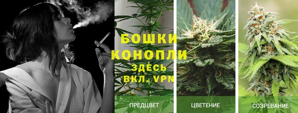 каннабис Инта