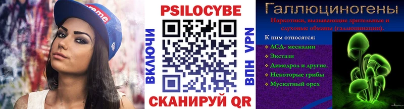Псилоцибиновые грибы Psilocybe  Купить где  Арск 