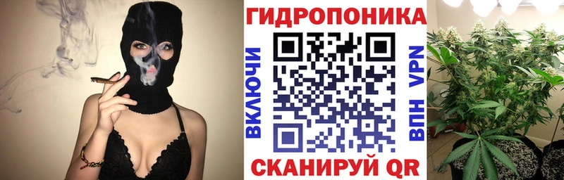 Шишки марихуана MAZAR  Купить где  Арск 